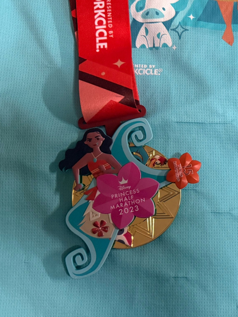 Disney Teal Princess Half Marathon Medal Display Panel